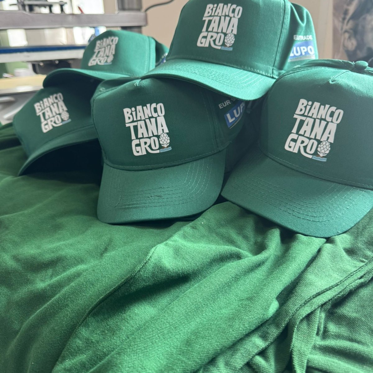 Cappellini Tshirt Stampa DTF